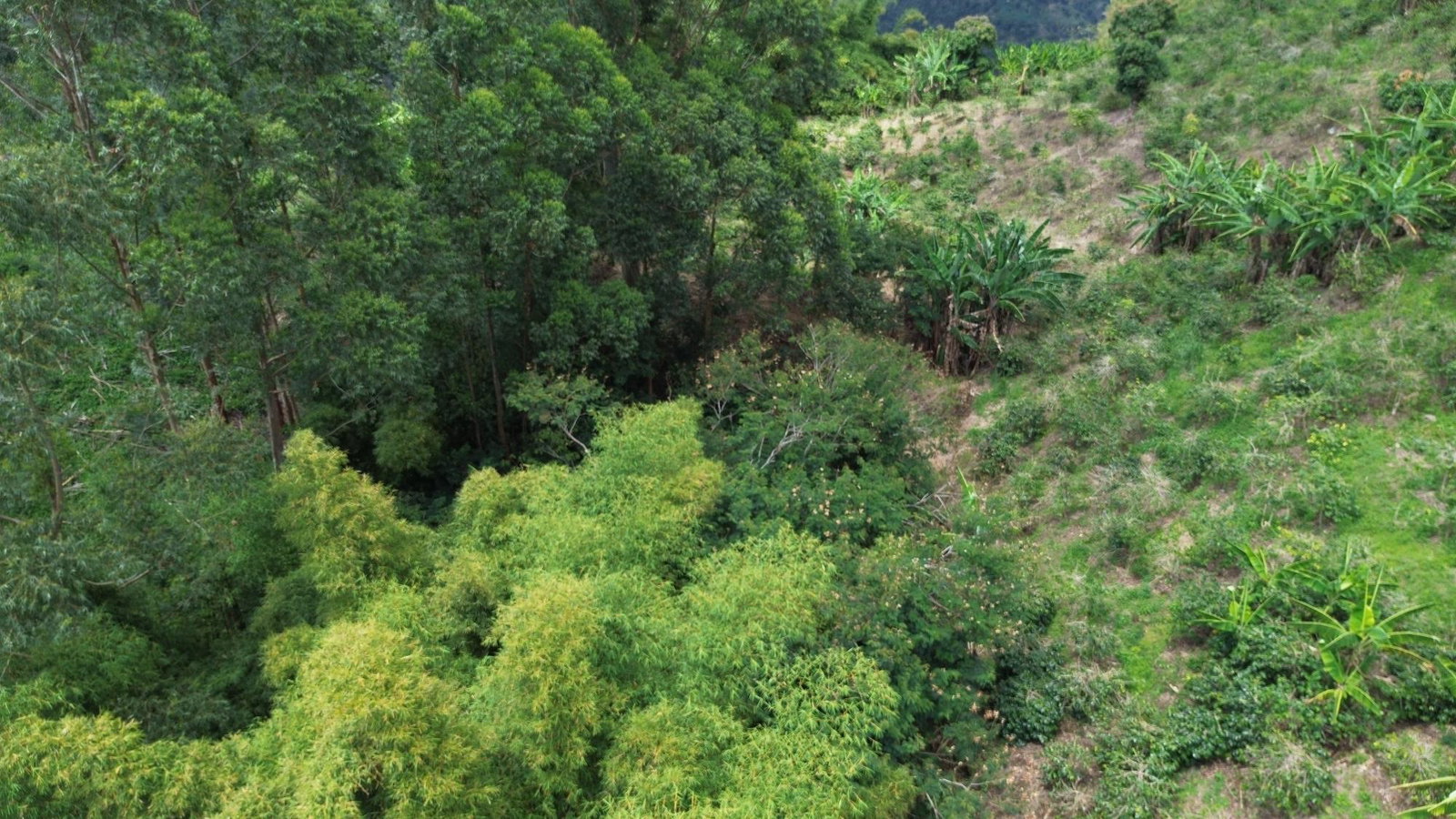 Sixteenth image of Lot 6 Salt Hill in Content Gap P.A., St. Andrew, Jamaica - property is For Sale