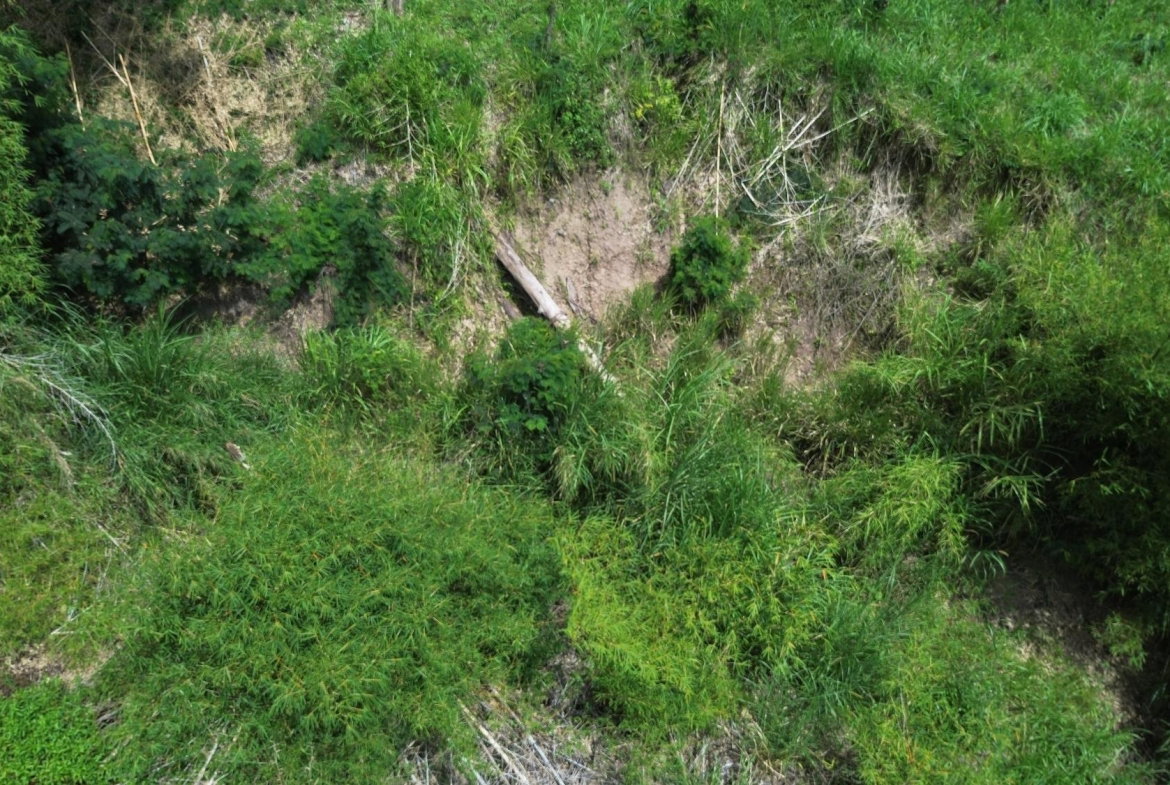 Seventeenth image of Lot 6 Salt Hill in Content Gap P.A., St. Andrew, Jamaica - property is For Sale