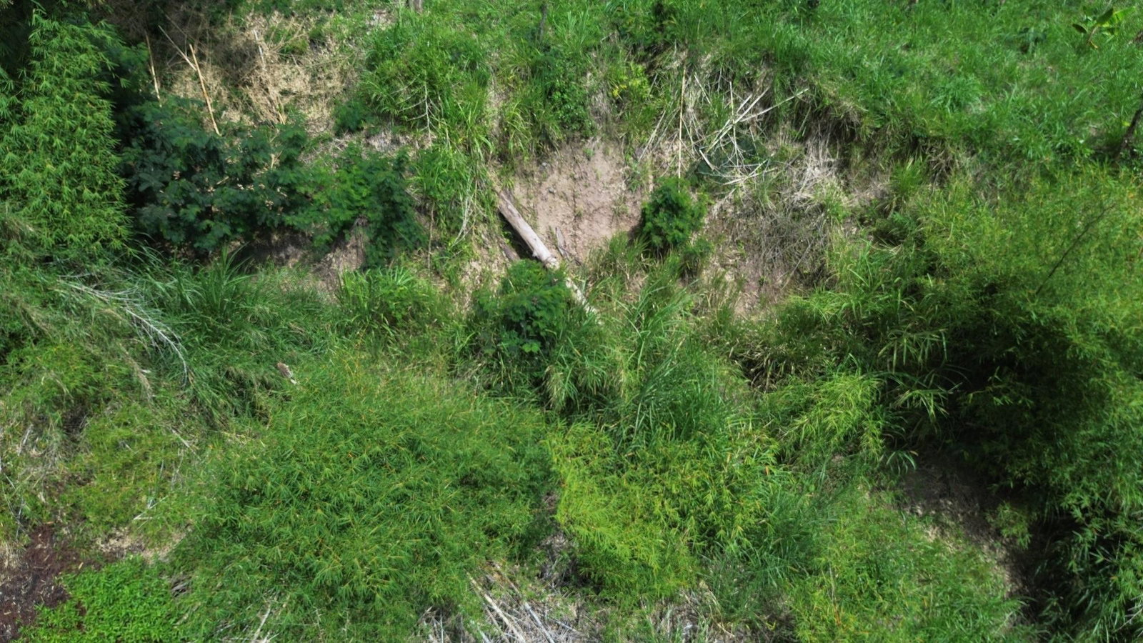 Seventeenth image of Lot 6 Salt Hill in Content Gap P.A., St. Andrew, Jamaica - property is For Sale