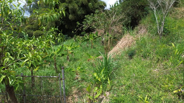 Third image of Lot 6 Salt Hill in Content Gap P.A., St. Andrew, Jamaica - property is For Sale
