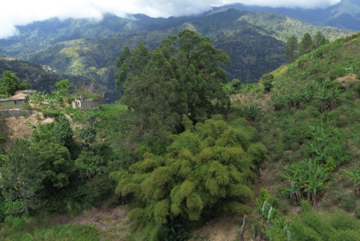 Sixth image of Lot 6 Salt Hill in Content Gap P.A., St. Andrew, Jamaica - property is For Sale