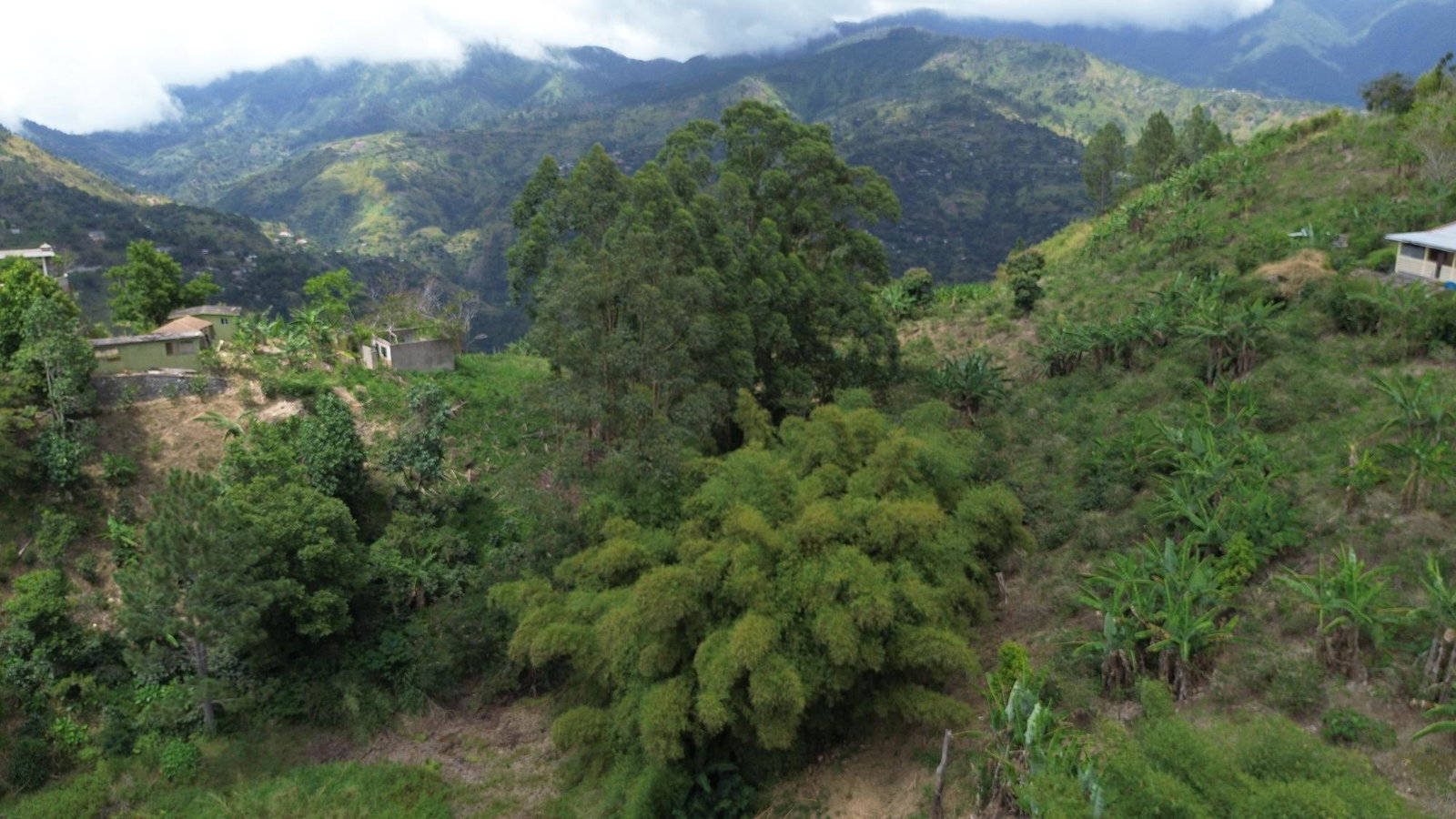 Sixth image of Lot 6 Salt Hill in Content Gap P.A., St. Andrew, Jamaica - property is For Sale