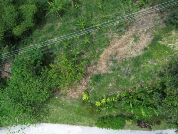 First image of Lot 6 Salt Hill in Content Gap P.A., St. Andrew, Jamaica - property is For Sale