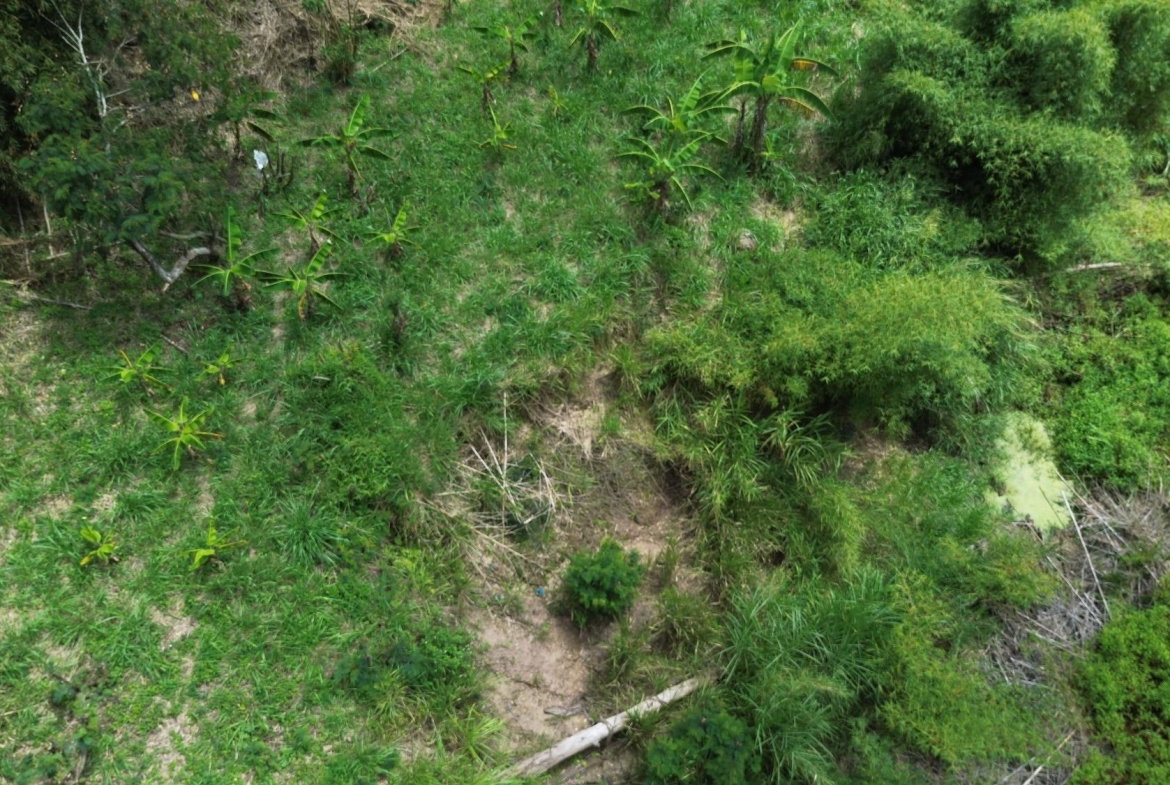 Seventh image of Lot 6 Salt Hill in Content Gap P.A., St. Andrew, Jamaica - property is For Sale