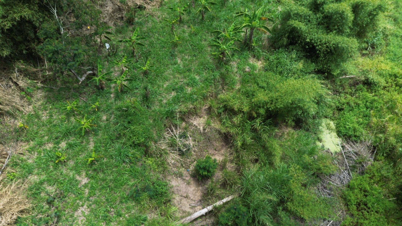 Seventh image of Lot 6 Salt Hill in Content Gap P.A., St. Andrew, Jamaica - property is For Sale