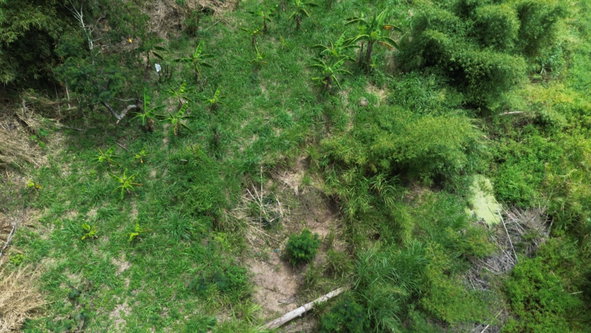 Seventh image of Lot 6 Salt Hill in Content Gap P.A., St. Andrew, Jamaica - property is For Sale
