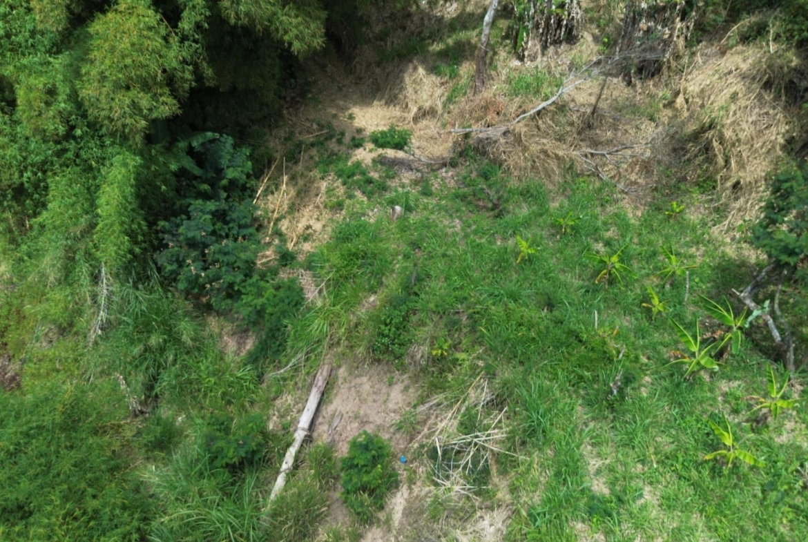 Eighth image of Lot 6 Salt Hill in Content Gap P.A., St. Andrew, Jamaica - property is For Sale