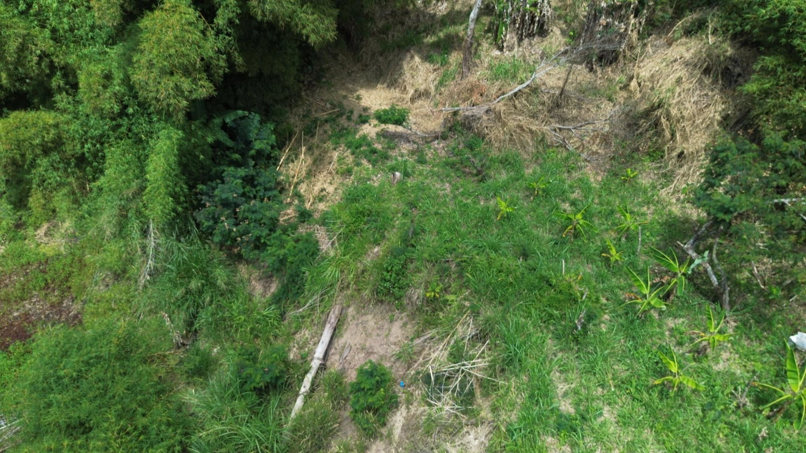 Eighth image of Lot 6 Salt Hill in Content Gap P.A., St. Andrew, Jamaica - property is For Sale