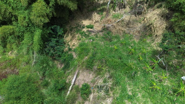 Eighth image of Lot 6 Salt Hill in Content Gap P.A., St. Andrew, Jamaica - property is For Sale