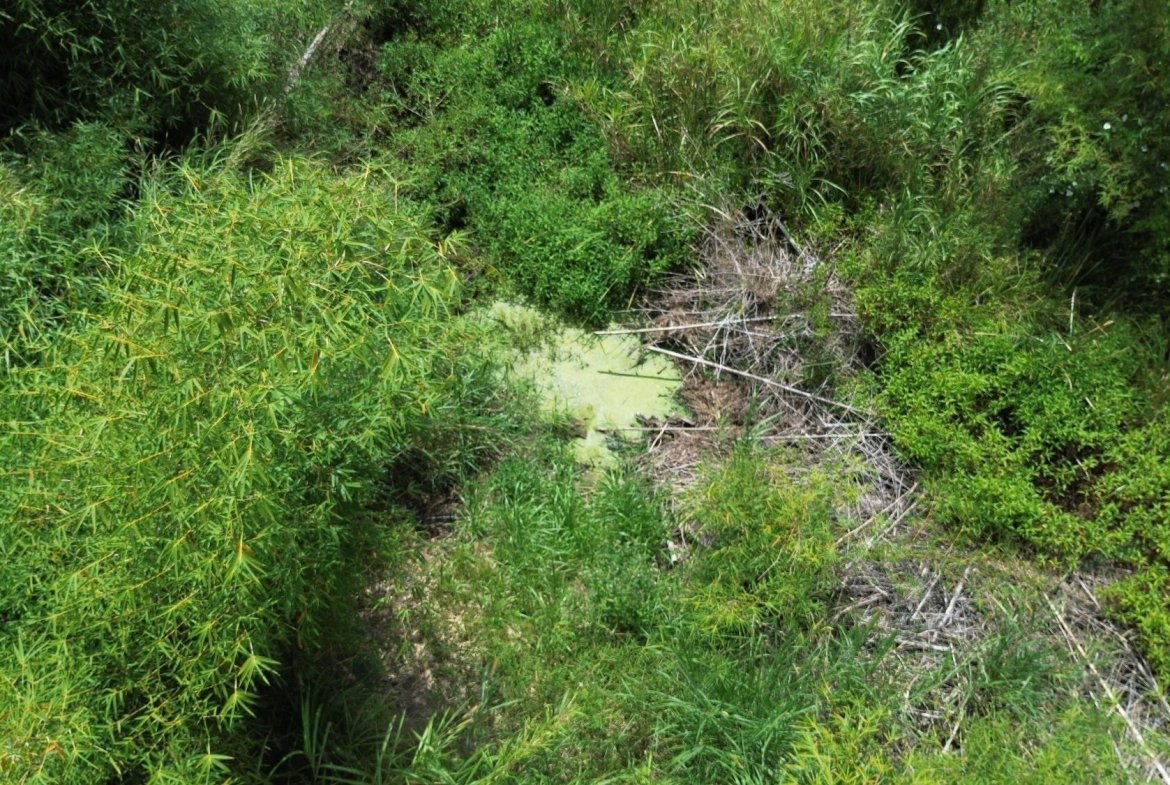 Ninth image of Lot 6 Salt Hill in Content Gap P.A., St. Andrew, Jamaica - property is For Sale