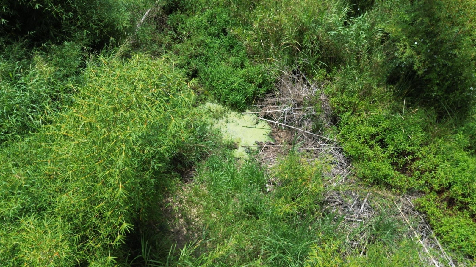 Ninth image of Lot 6 Salt Hill in Content Gap P.A., St. Andrew, Jamaica - property is For Sale