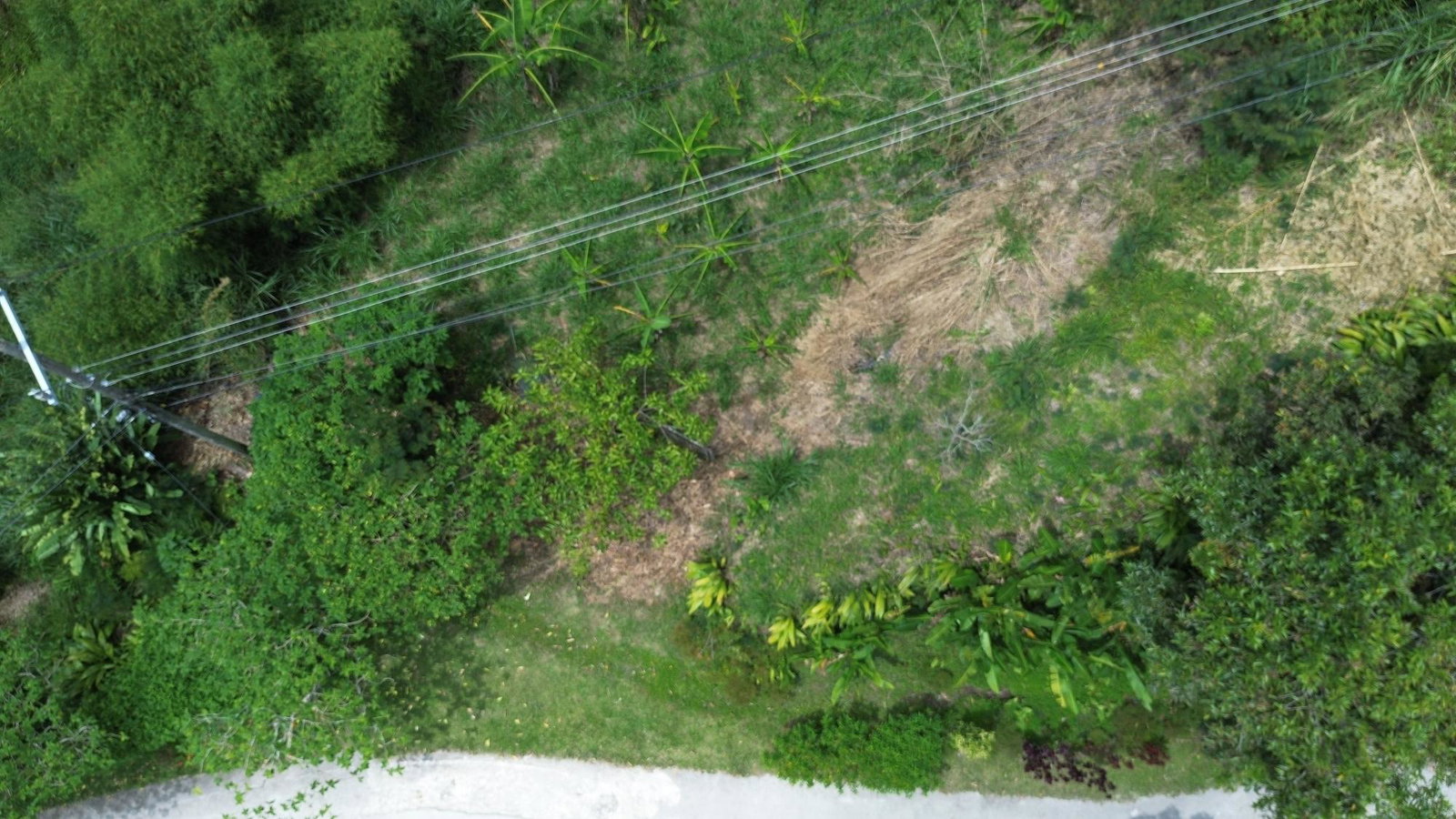 First image of Lot 6 Salt Hill in Content Gap P.A., St. Andrew, Jamaica - property is For Sale