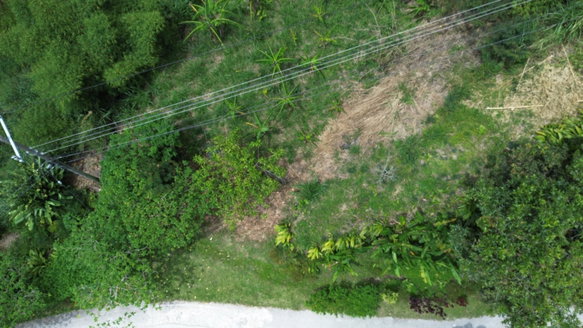 First image of Lot 6 Salt Hill in Content Gap P.A., St. Andrew, Jamaica - property is For Sale