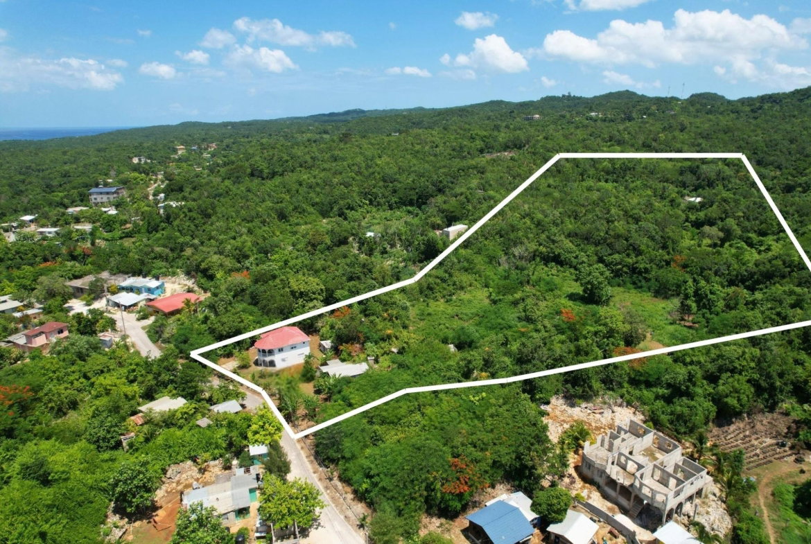 Fifth image of Brighton in Revival, Westmoreland, Jamaica - property is For Sale
