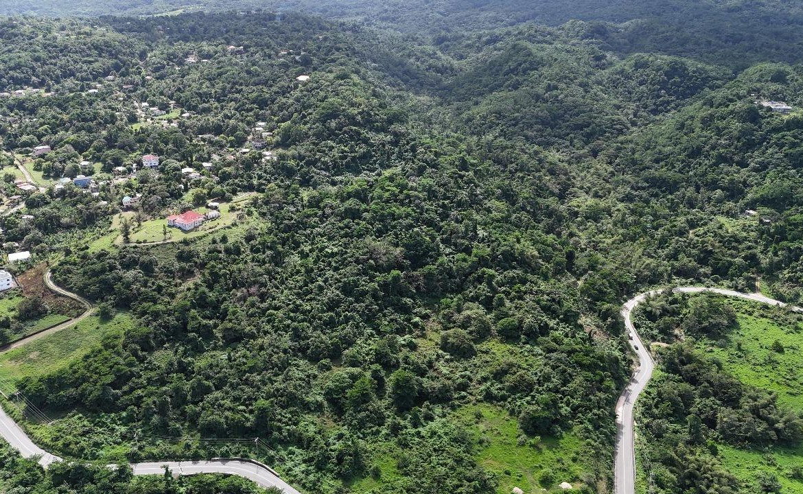 Third image of Williamsfield Portland in Williamsfield, Portland, Jamaica - property is For Sale