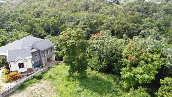 Seventh image of Drax Hall in Ocho Rios, St. Ann, Jamaica - property is For Sale