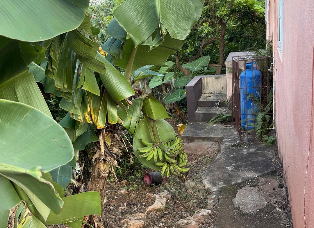 Twenty-Fifth image of 1225 st Martin Road in Green Acres, St. Catherine, Jamaica - property is For Sale
