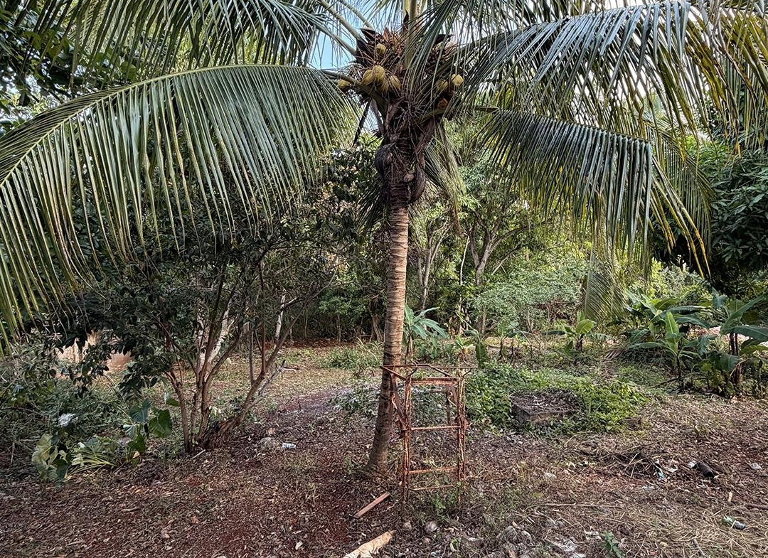 Twenty-Sixth image of 1225 st Martin Road in Green Acres, St. Catherine, Jamaica - property is For Sale