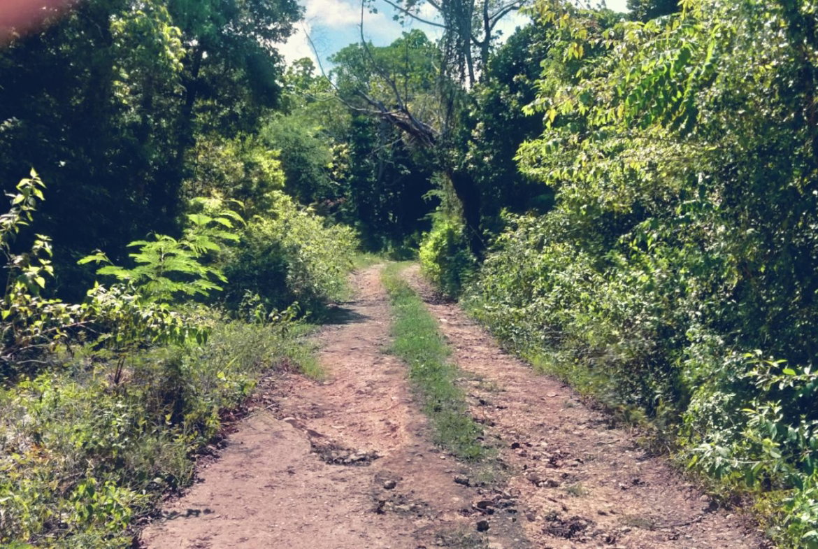 Second image of Part of Cranbrook Pen in Laughlands, St. Ann, Jamaica - property is For Sale