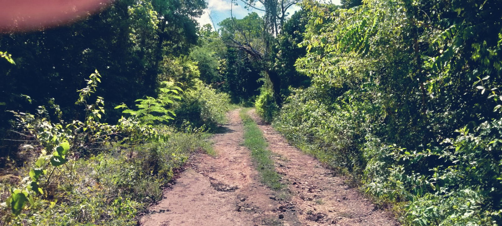 Second image of Part of Cranbrook Pen in Laughlands, St. Ann, Jamaica - property is For Sale