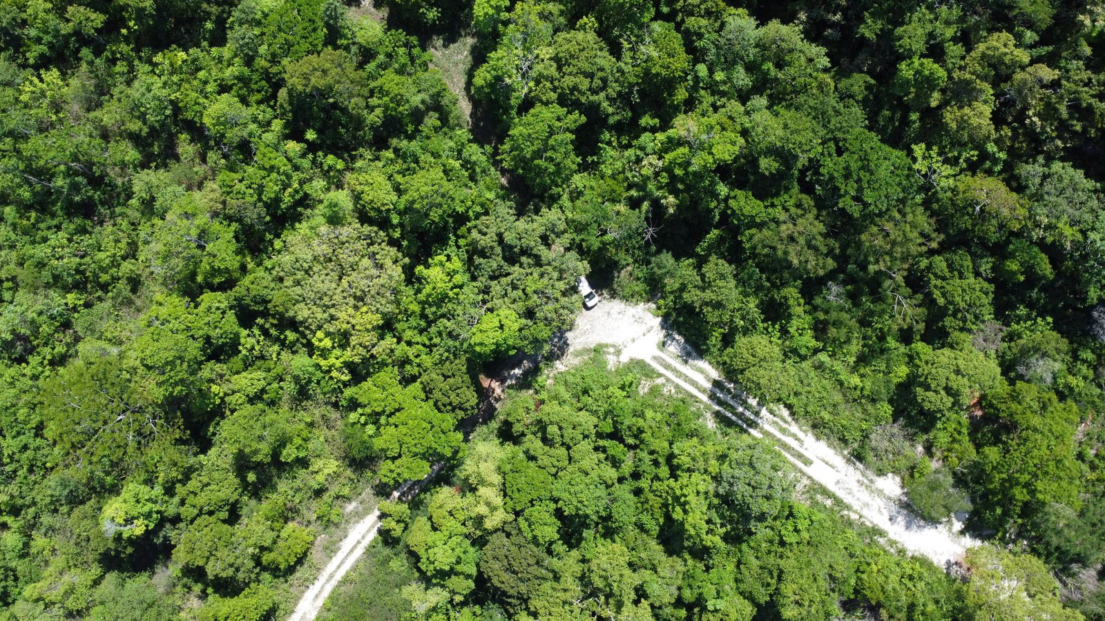 Eleventh image of Part of Cranbrook Pen in Laughlands, St. Ann, Jamaica - property is For Sale