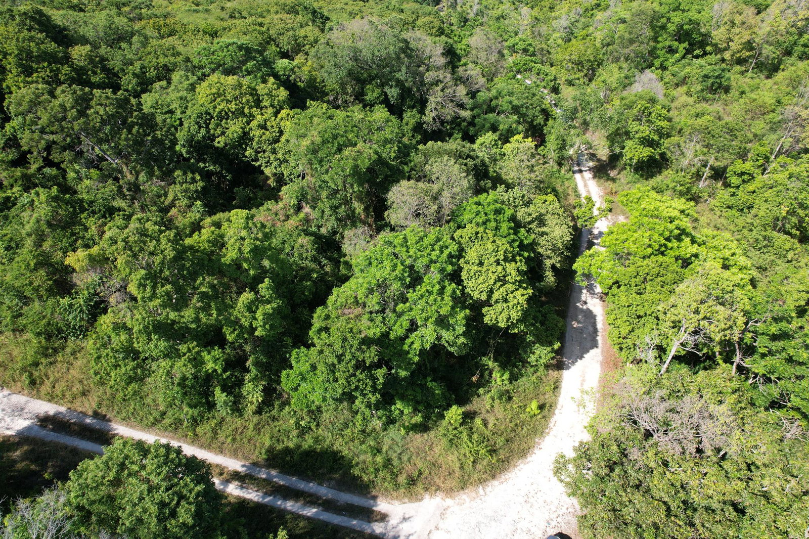 Twelfth image of Part of Cranbrook Pen in Laughlands, St. Ann, Jamaica - property is For Sale