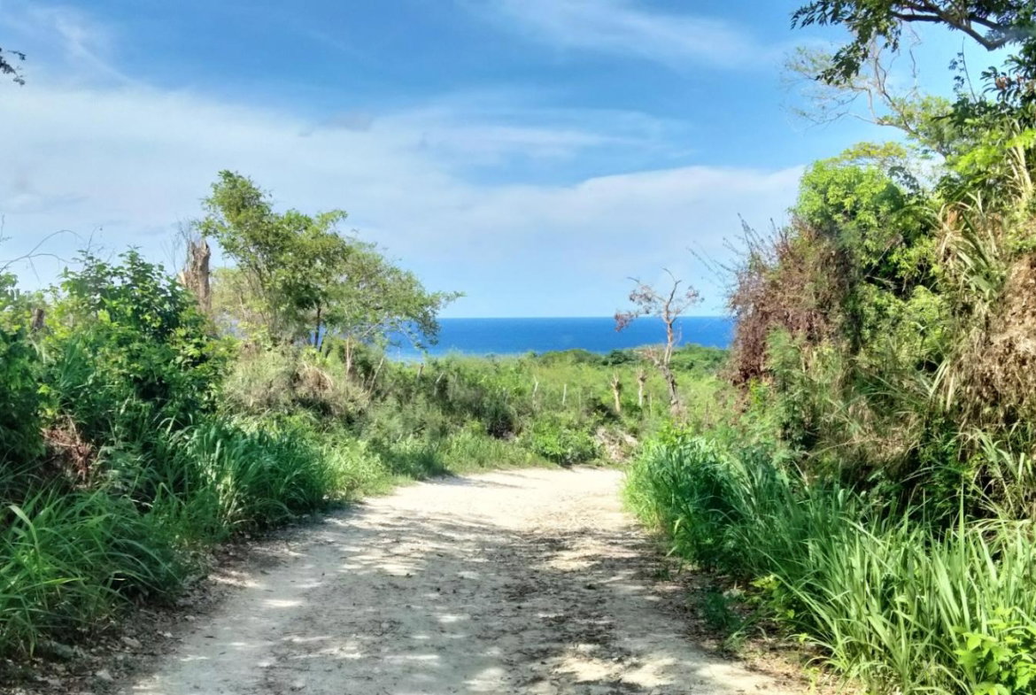 First image of Part of Cranbrook Pen in Laughlands, St. Ann, Jamaica - property is For Sale