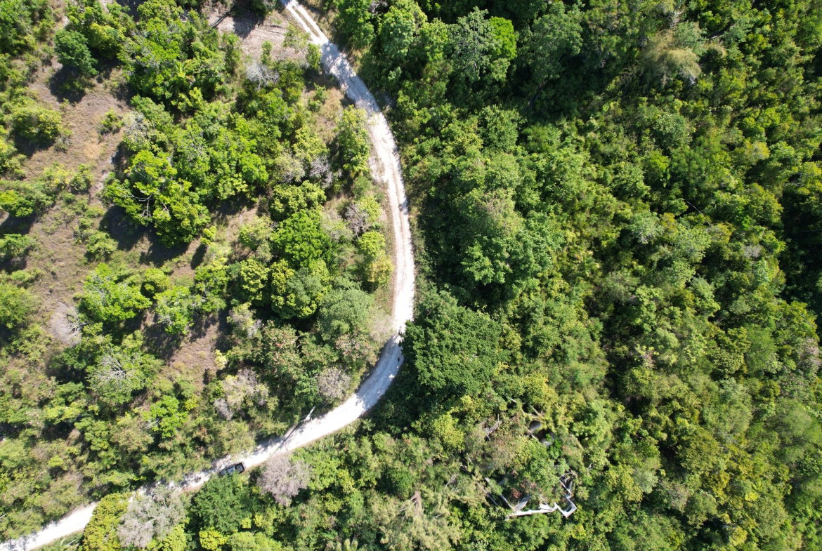 Thirteenth image of Part of Cranbrook Pen in Laughlands, St. Ann, Jamaica - property is For Sale