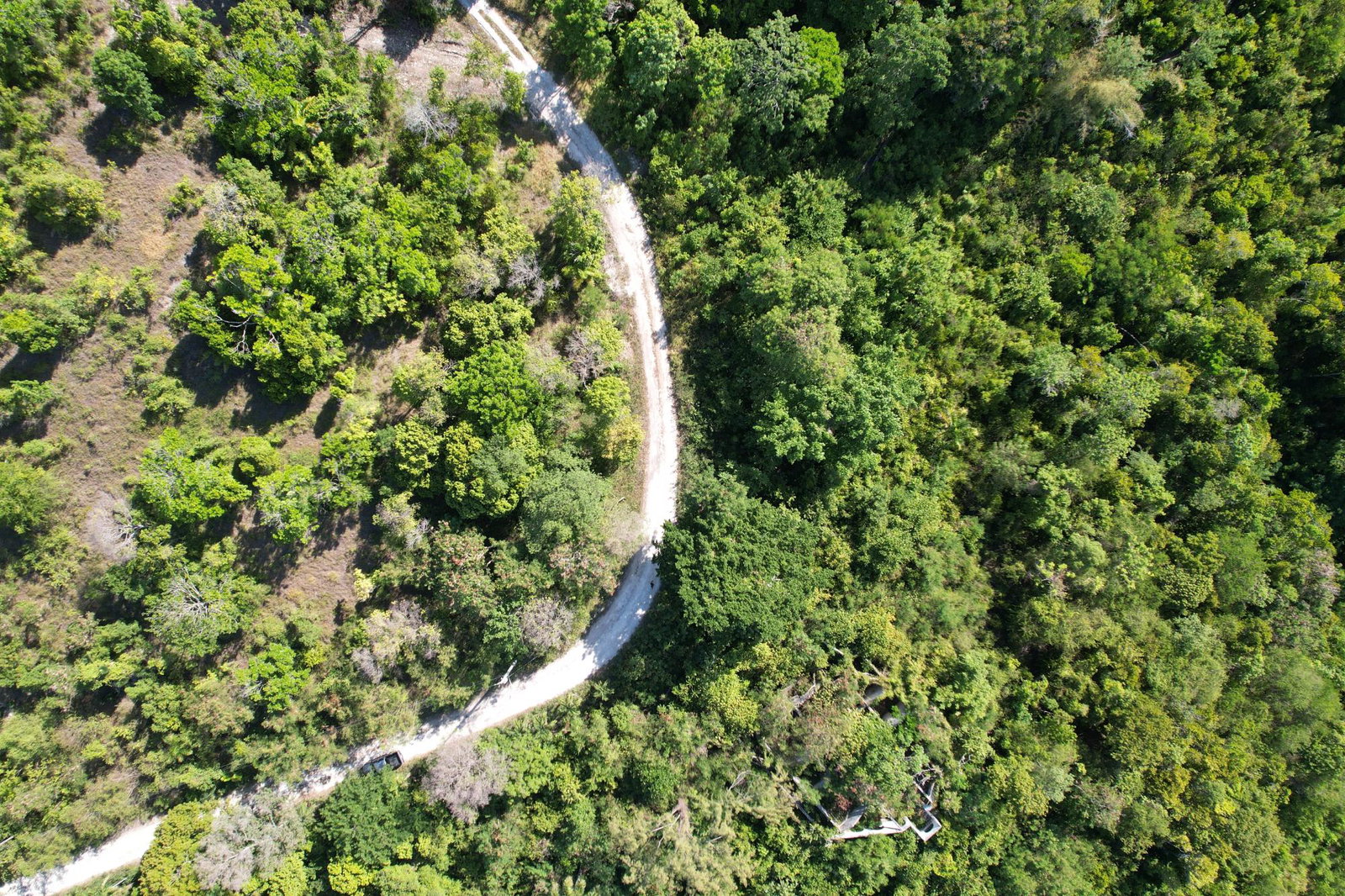 Thirteenth image of Part of Cranbrook Pen in Laughlands, St. Ann, Jamaica - property is For Sale