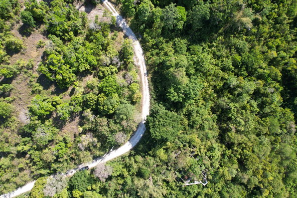 Thirteenth image of Part of Cranbrook Pen in Laughlands, St. Ann, Jamaica - property is For Sale