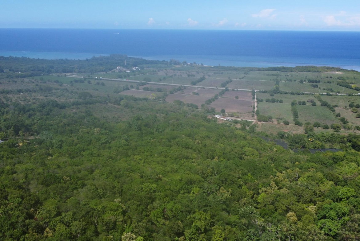 Fourteenth image of Part of Cranbrook Pen in Laughlands, St. Ann, Jamaica - property is For Sale