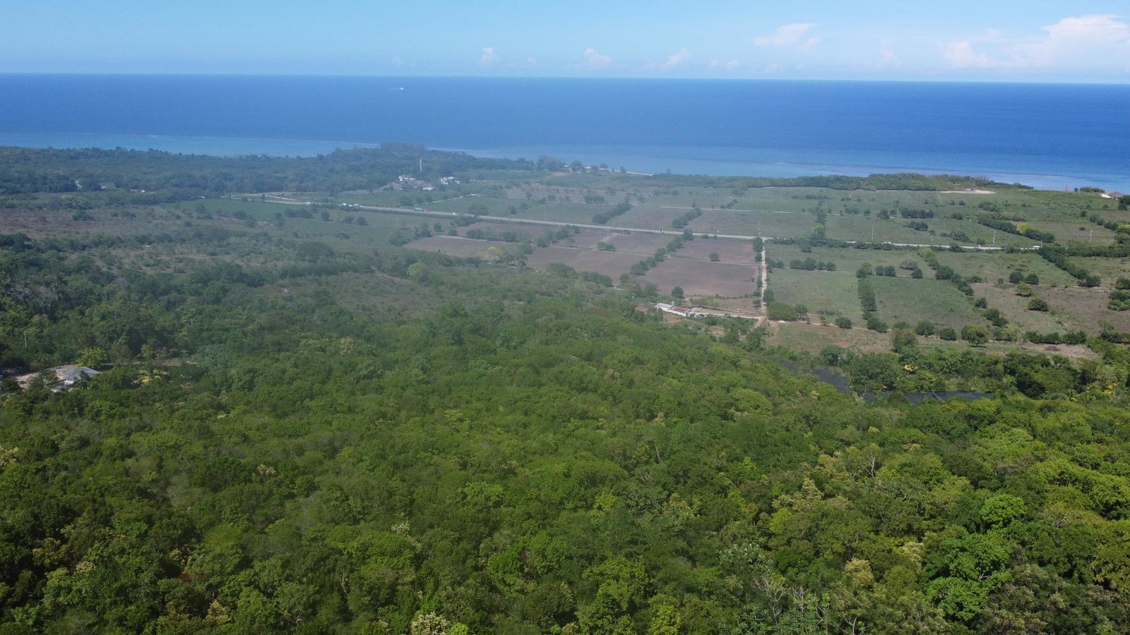 Fourteenth image of Part of Cranbrook Pen in Laughlands, St. Ann, Jamaica - property is For Sale