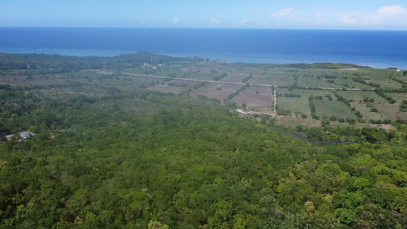 Fourteenth image of Part of Cranbrook Pen in Laughlands, St. Ann, Jamaica - property is For Sale