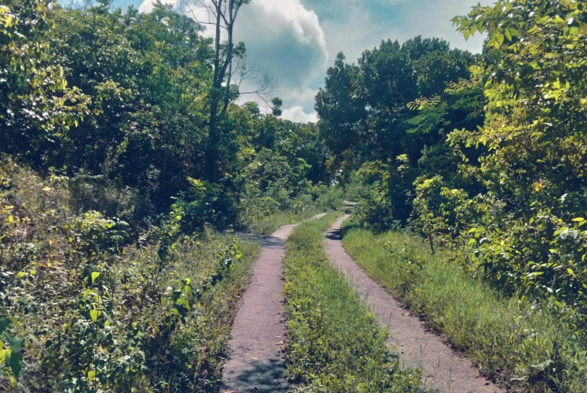 Third image of Part of Cranbrook Pen in Laughlands, St. Ann, Jamaica - property is For Sale