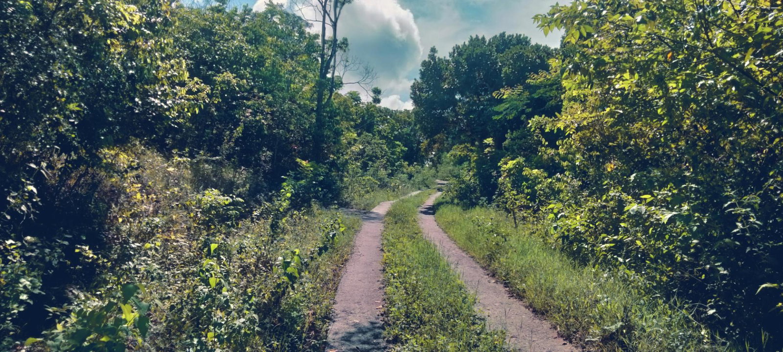 Third image of Part of Cranbrook Pen in Laughlands, St. Ann, Jamaica - property is For Sale