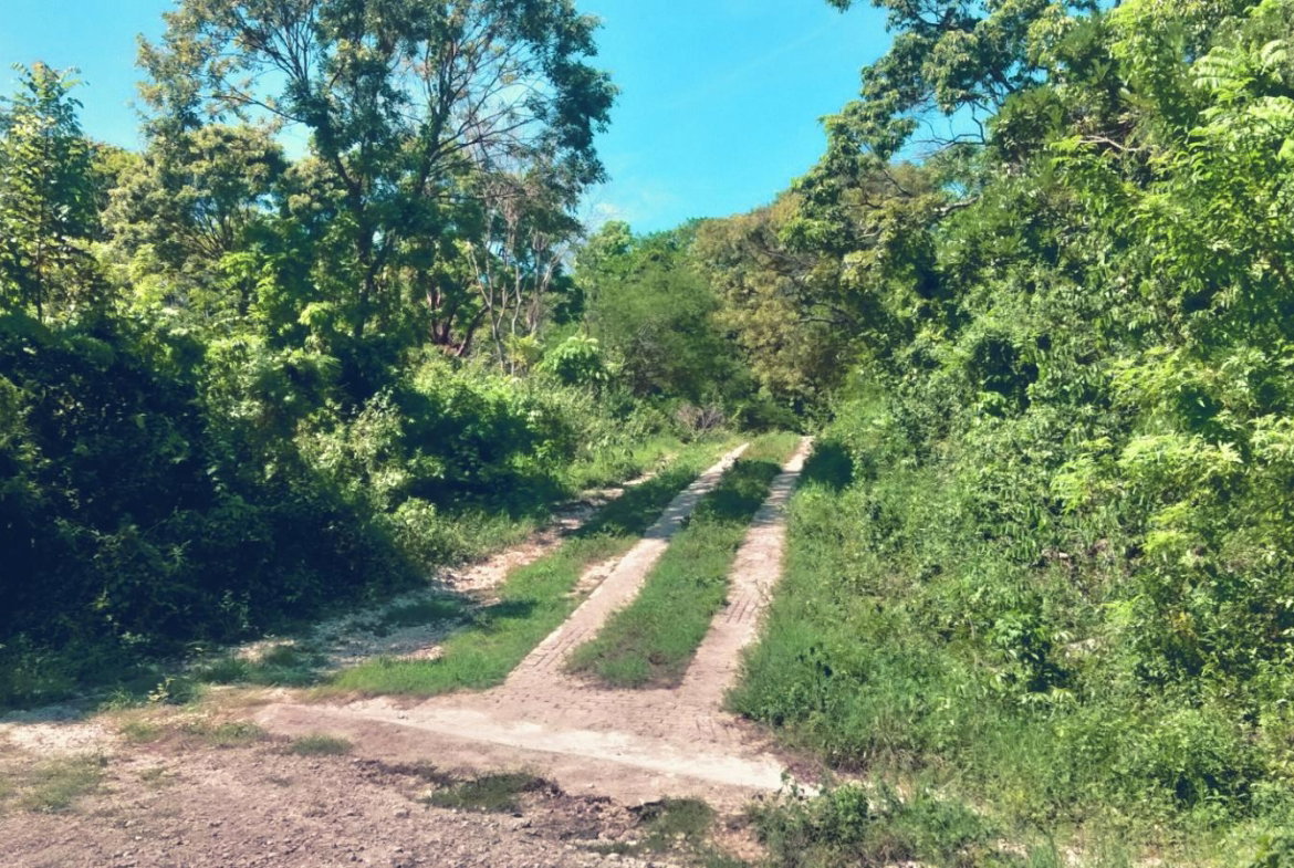 Fourth image of Part of Cranbrook Pen in Laughlands, St. Ann, Jamaica - property is For Sale