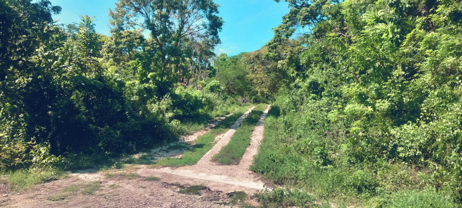 Fourth image of Part of Cranbrook Pen in Laughlands, St. Ann, Jamaica - property is For Sale