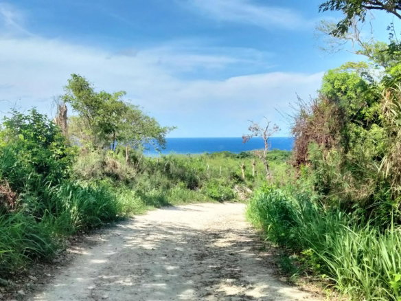 First image of Part of Cranbrook Pen in Laughlands, St. Ann, Jamaica - property is For Sale