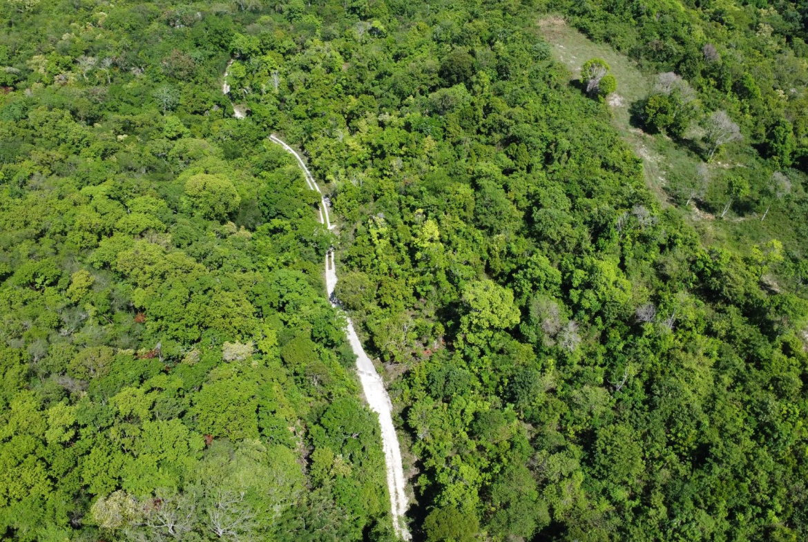 Seventh image of Part of Cranbrook Pen in Laughlands, St. Ann, Jamaica - property is For Sale