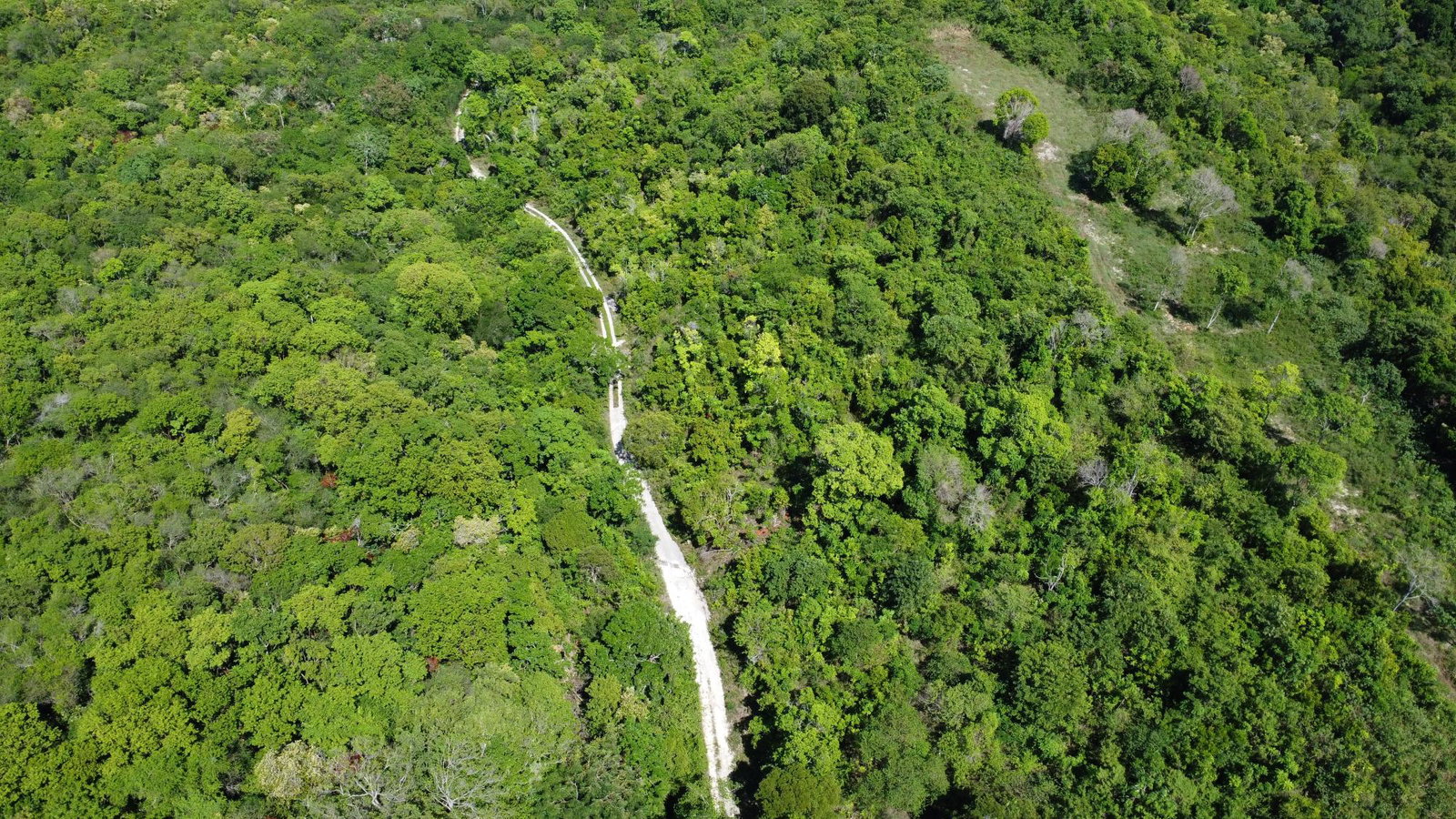 Seventh image of Part of Cranbrook Pen in Laughlands, St. Ann, Jamaica - property is For Sale