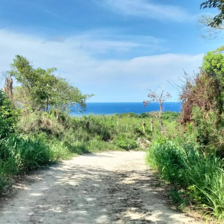 First image of Part of Cranbrook Pen in Laughlands, St. Ann, Jamaica - property is For Sale