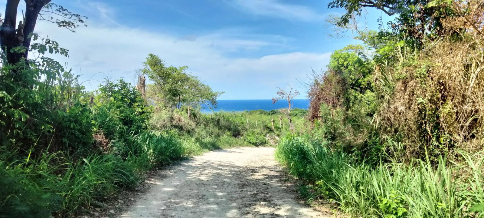 First image of Part of Cranbrook Pen in Laughlands, St. Ann, Jamaica - property is For Sale