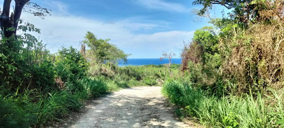 First image of Part of Cranbrook Pen in Laughlands, St. Ann, Jamaica - property is For Sale