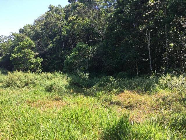 Second image of Chippenham Park, Bamboo in Bamboo, St. Ann, Jamaica - property is For Sale