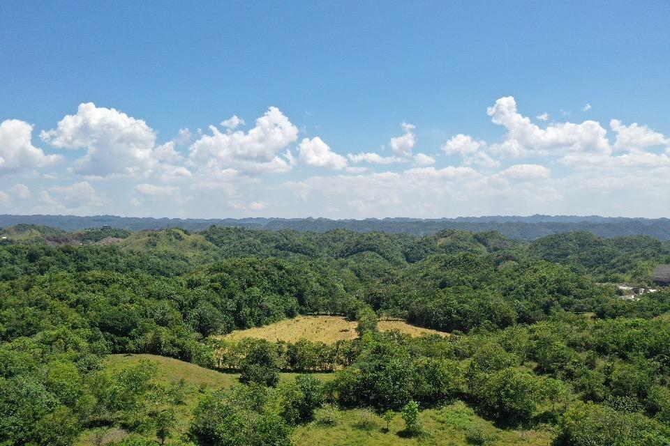 Eleventh image of Chippenham Park, Bamboo in Bamboo, St. Ann, Jamaica - property is For Sale