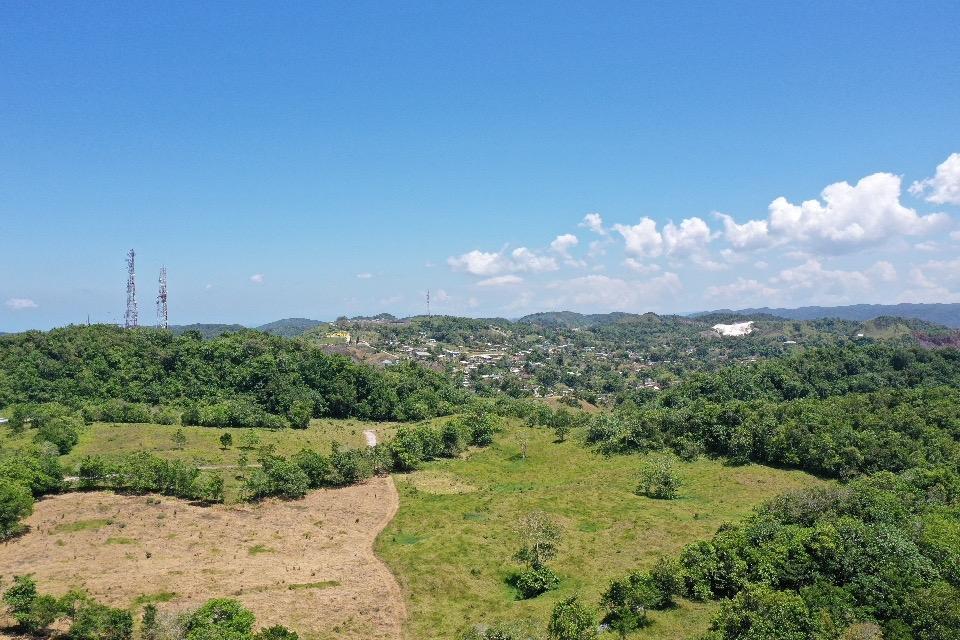 Thirteenth image of Chippenham Park, Bamboo in Bamboo, St. Ann, Jamaica - property is For Sale