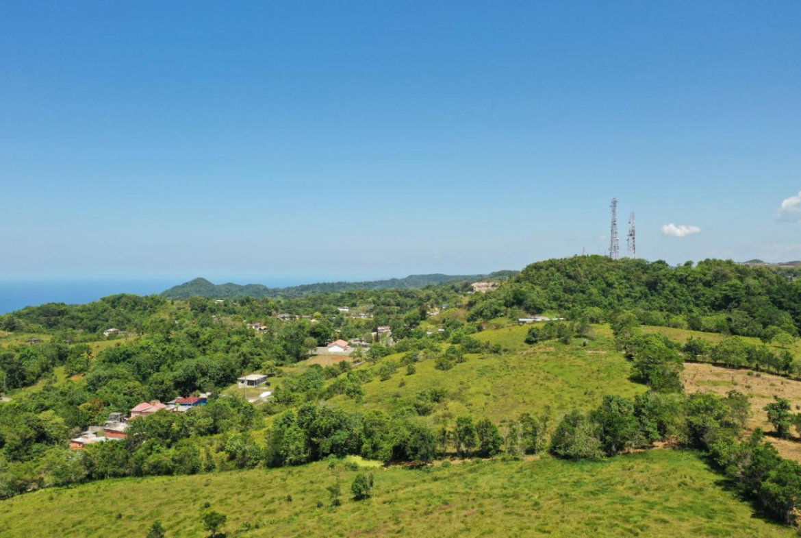 Fourteenth image of Chippenham Park, Bamboo in Bamboo, St. Ann, Jamaica - property is For Sale