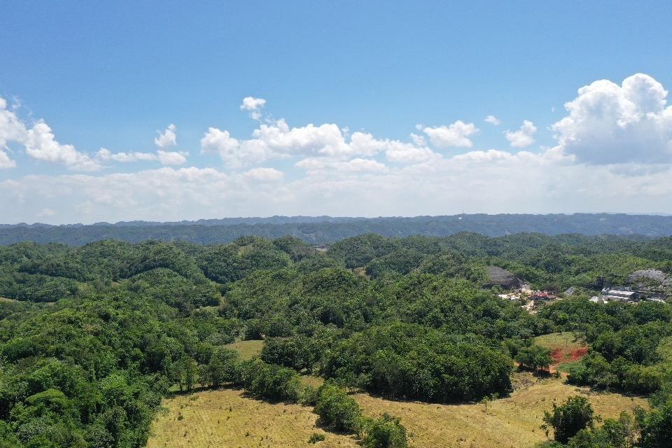 Fifteenth image of Chippenham Park, Bamboo in Bamboo, St. Ann, Jamaica - property is For Sale