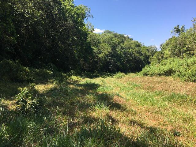 Third image of Chippenham Park, Bamboo in Bamboo, St. Ann, Jamaica - property is For Sale