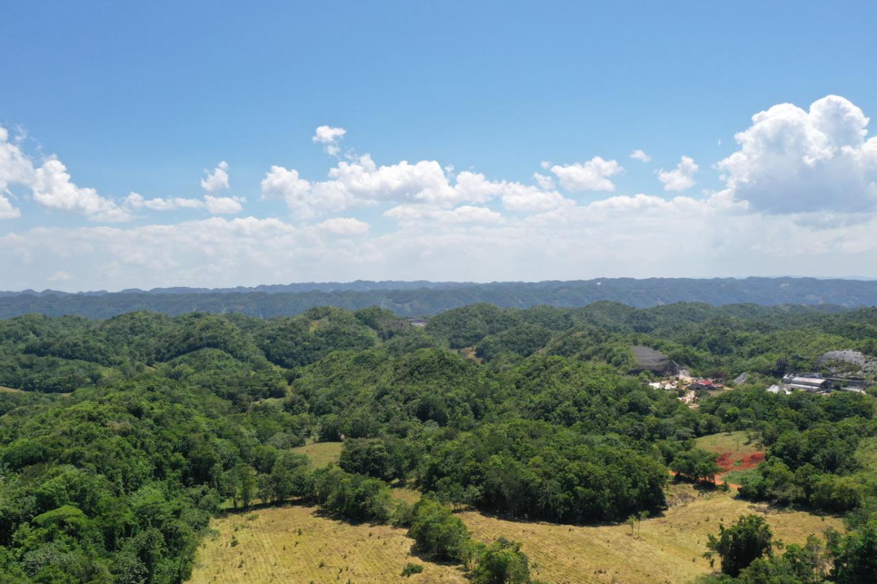 14.2-Acre-Residential-Development-Land-for-Sale-in-Chippenham-Park-St.-Ann-Jamaica Twenty-Second image of Chippenham Park, Bamboo in Bamboo, St. Ann, Jamaica - property is For Sale